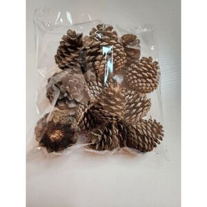 Authentic RI Pinecones, Dozen